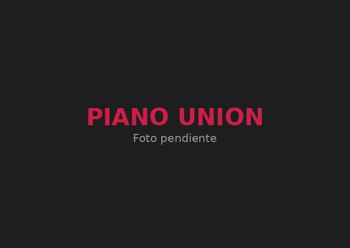 Piano Union - Vidaurre Agencia Digital