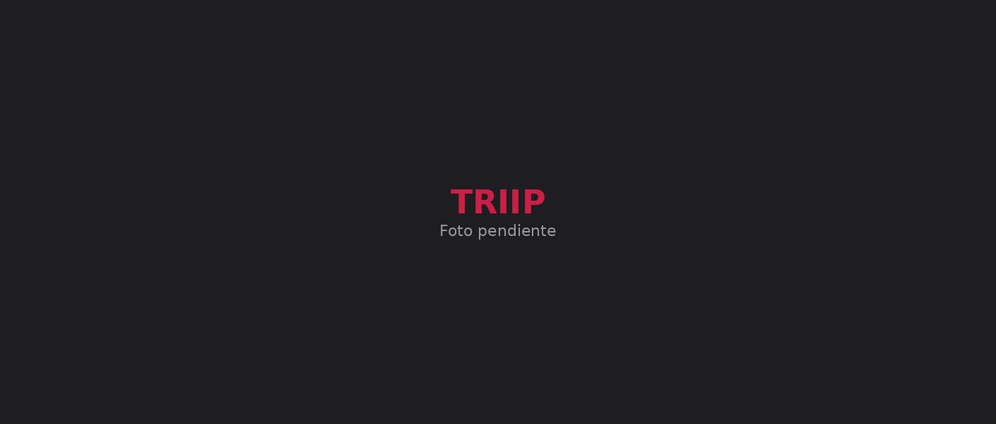 Triip - Vidaurre Agencia Digital